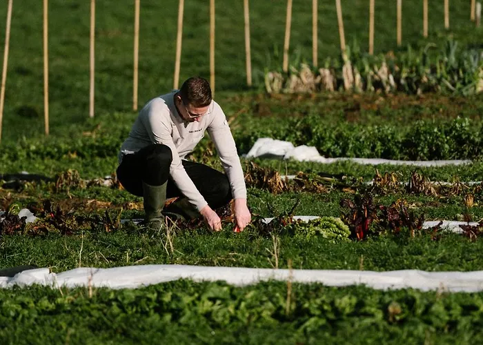 Hotel Chateau St Gerlach - Oostwegel Collection, Member Of Relais And Chateaux