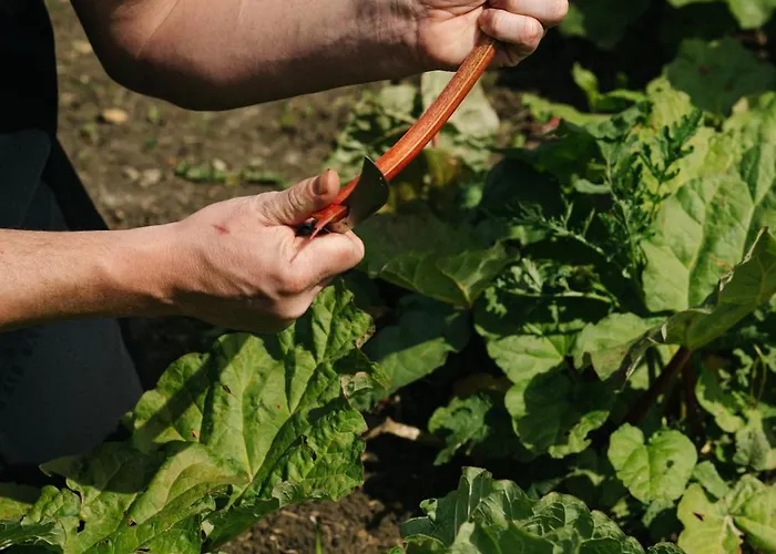 Chateau St Gerlach - Oostwegel Collection, Member Of Relais And Chateaux 5* Valkenburg aan de Geul