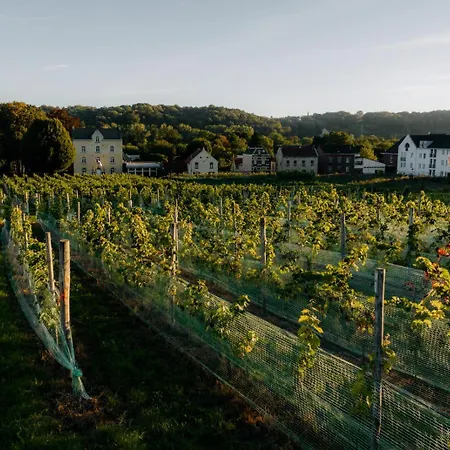 Chateau St Gerlach - Oostwegel Collection, Member Of Relais And Chateaux ホテル ファルケンブルフ