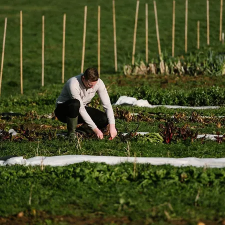 Hotell Chateau St Gerlach - Oostwegel Collection, Member Of Relais And Chateaux
