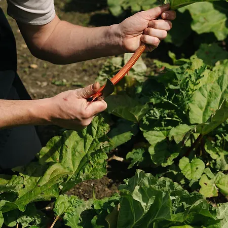 Chateau St Gerlach - Oostwegel Collection, Member Of Relais And Chateaux 5* Valkenburg aan de Geul