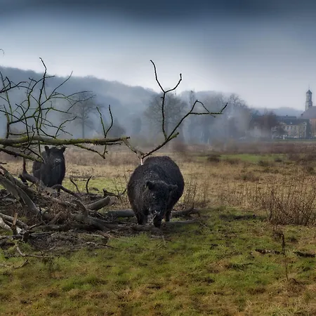 Chateau St Gerlach - Oostwegel Collection, Member Of Relais And Chateaux