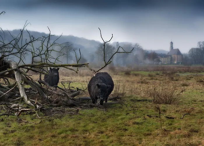 Chateau St Gerlach - Oostwegel Collection, Member Of Relais And Chateaux