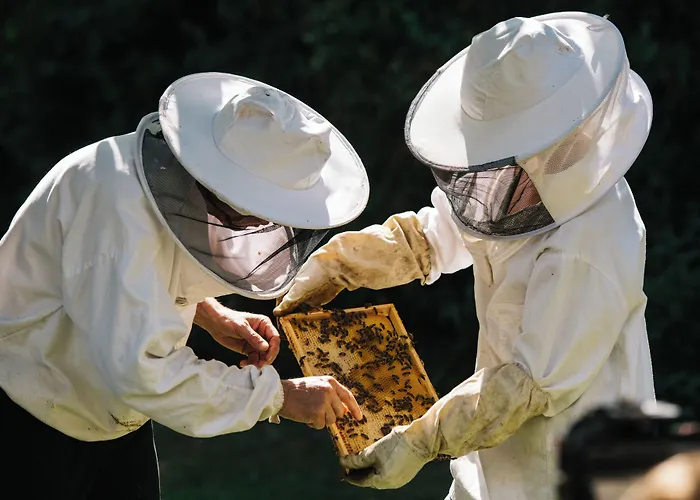 Chateau St Gerlach - Oostwegel Collection, Member Of Relais And Chateaux 5* Valkenburg aan de Geul