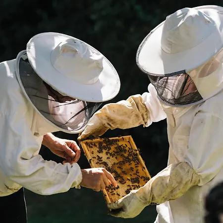 Chateau St Gerlach - Oostwegel Collection, Member Of Relais And Chateaux 5* 팔켄뷔르흐안더횔